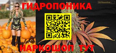 наркотики Шебекино