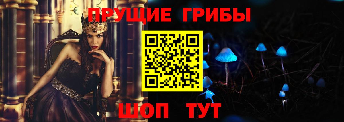 Галлюциногенные грибы Psilocybine cubensis Ишимбай